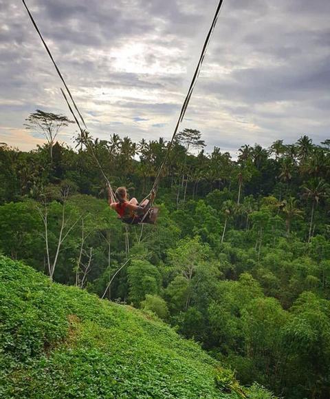 Waterfalls Rice Fields Swing Indonesia